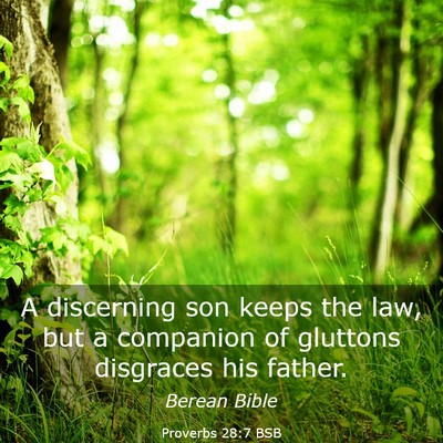 Picture 03 - Proverbs 28:7 BSB - A discerning son keeps the law, but a companion - Bible Verse Picture