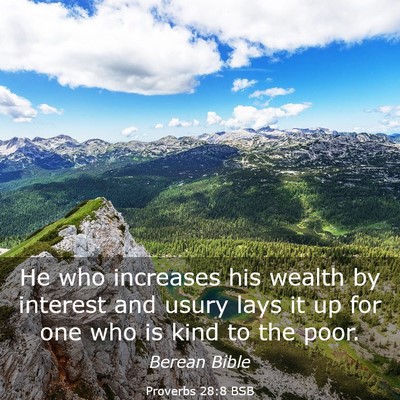 Picture 03 - Proverbs 28:8 BSB - He who increases his wealth by interest and usury - Bible Verse Picture
