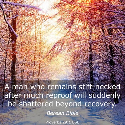 Picture 03 - Proverbs 29:1 BSB - A man who remains stiff-necked after much reproof - Bible Verse Picture