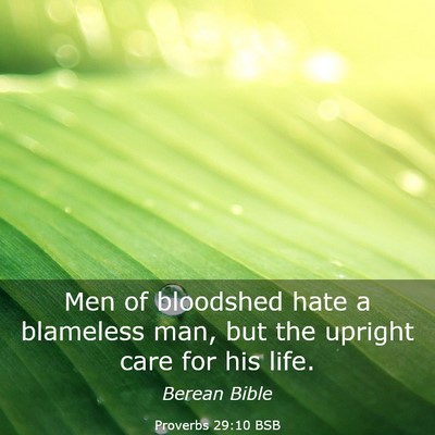 Picture 03 - Proverbs 29:10 BSB - Men of bloodshed hate a blameless man, but the - Bible Verse Picture