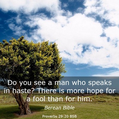Picture 03 - Proverbs 29:20 BSB - Do you see a man who speaks in haste? There is - Bible Verse Picture