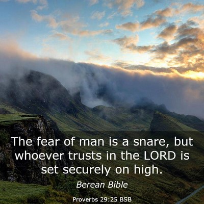 Picture 03 - Proverbs 29:25 BSB - The fear of man is a snare, but whoever trusts in - Bible Verse Picture