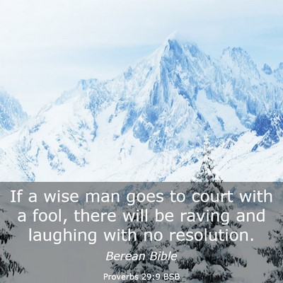Picture 03 - Proverbs 29:9 BSB - If a wise man goes to court with a fool, there - Bible Verse Picture