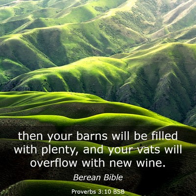 Picture 03 - Proverbs 3:10 BSB - then your barns will be filled with plenty, and - Bible Verse Picture