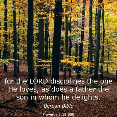 Picture 03 - Proverbs 3:12 BSB - for the LORD disciplines the one He loves, as - Bible Verse Picture