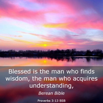 Picture 03 - Proverbs 3:13 BSB - Blessed is the man who finds wisdom, the man who - Bible Verse Picture