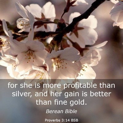 Picture 03 - Proverbs 3:14 BSB - for she is more profitable than silver, and her - Bible Verse Picture