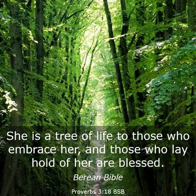 Picture 03 - Proverbs 3:18 BSB - She is a tree of life to those who embrace her, - Bible Verse Picture