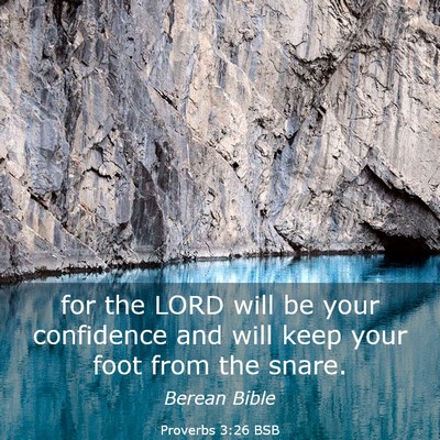 Picture 03 - Proverbs 3:26 BSB - for the LORD will be your confidence and will - Bible Verse Picture