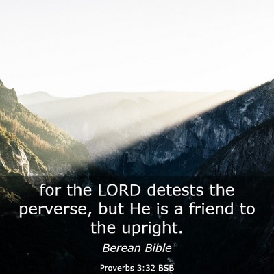 Picture 03 - Proverbs 3:32 BSB - for the LORD detests the perverse, but He is a - Bible Verse Picture