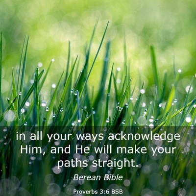 Picture 03 - Proverbs 3:6 BSB - in all your ways acknowledge Him, and He will - Bible Verse Picture