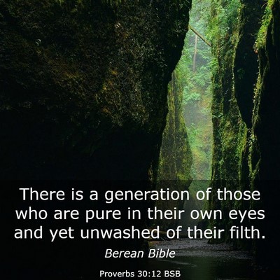Picture 03 - Proverbs 30:12 BSB - There is a generation of those who are pure in - Bible Verse Picture