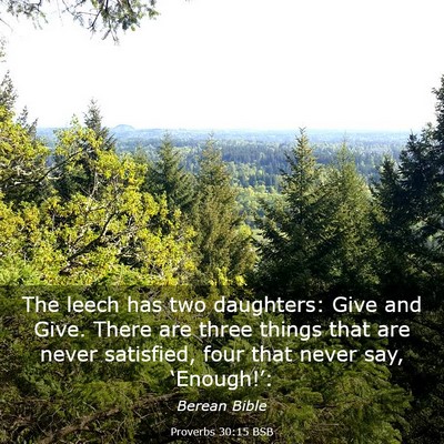 Picture 03 - Proverbs 30:15 BSB - The leech has two daughters: Give and Give. There - Bible Verse Picture