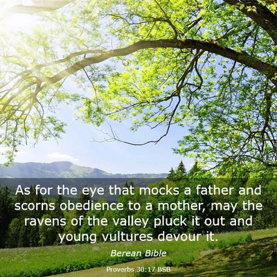 Picture 03 - Proverbs 30:17 BSB - As for the eye that mocks a father and scorns - Bible Verse Picture