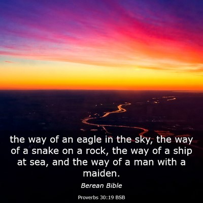 Picture 03 - Proverbs 30:19 BSB - the way of an eagle in the sky, the way of a - Bible Verse Picture
