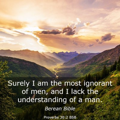 Picture 03 - Proverbs 30:2 BSB - Surely I am the most ignorant of men, and I lack - Bible Verse Picture