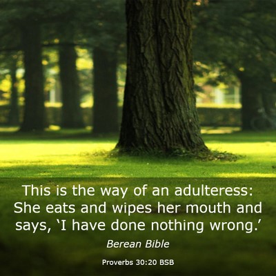 Picture 03 - Proverbs 30:20 BSB - This is the way of an adulteress: She eats and - Bible Verse Picture