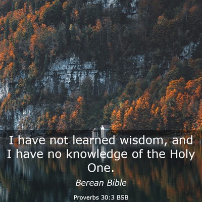 Picture 03 - Proverbs 30:3 BSB - I have not learned wisdom, and I have no - Bible Verse Picture