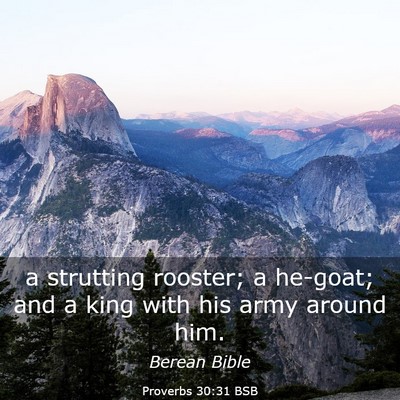 Picture 03 - Proverbs 30:31 BSB - a strutting rooster; a he-goat; and a king with - Bible Verse Picture