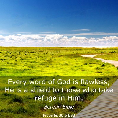 Picture 03 - Proverbs 30:5 BSB - Every word of God is flawless; He is a shield to - Bible Verse Picture
