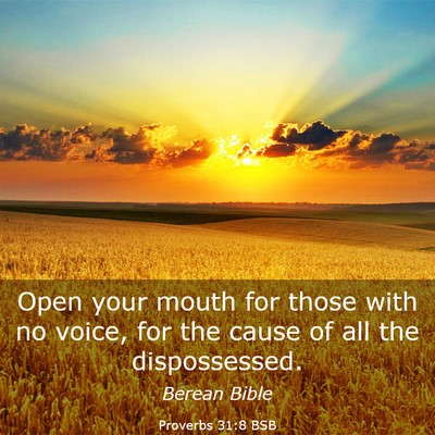 Picture 03 - Proverbs 31:8 BSB - Open your mouth for those with no voice, for the - Bible Verse Picture