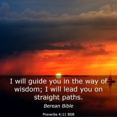 Picture 03 - Proverbs 4:11 BSB - I will guide you in the way of wisdom; I will - Bible Verse Picture