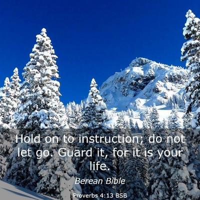Picture 03 - Proverbs 4:13 BSB - Hold on to instruction; do not let go. Guard it, - Bible Verse Picture