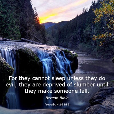 Picture 03 - Proverbs 4:16 BSB - For they cannot sleep unless they do evil; they - Bible Verse Picture