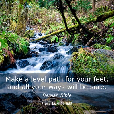 Picture 03 - Proverbs 4:26 BSB - Make a level path for your feet, and all your - Bible Verse Picture
