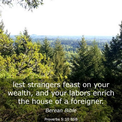 Picture 03 - Proverbs 5:10 BSB - lest strangers feast on your wealth, and your - Bible Verse Picture