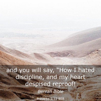 Picture 03 - Proverbs 5:12 BSB - and you will say, “How I hated discipline, and - Bible Verse Picture