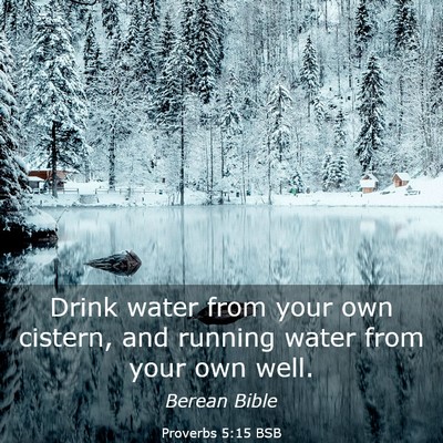 Picture 03 - Proverbs 5:15 BSB - Drink water from your own cistern, and running - Bible Verse Picture