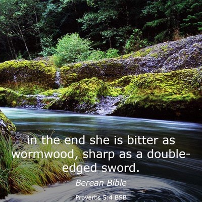 Picture 03 - Proverbs 5:4 BSB - in the end she is bitter as wormwood, sharp as a - Bible Verse Picture
