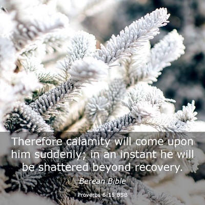 Picture 03 - Proverbs 6:15 BSB - Therefore calamity will come upon him suddenly; - Bible Verse Picture