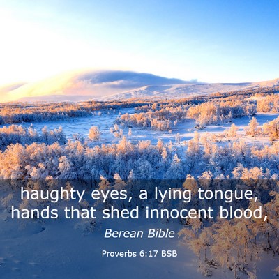Picture 03 - Proverbs 6:17 BSB - haughty eyes, a lying tongue, hands that shed - Bible Verse Picture