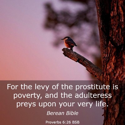 Picture 03 - Proverbs 6:26 BSB - For the levy of the prostitute is poverty, and - Bible Verse Picture