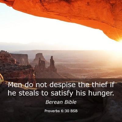 Picture 03 - Proverbs 6:30 BSB - Men do not despise the thief if he steals to - Bible Verse Picture