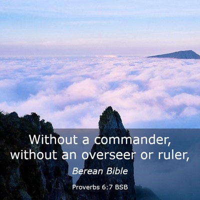 Picture 03 - Proverbs 6:7 BSB - Without a commander, without an overseer or - Bible Verse Picture