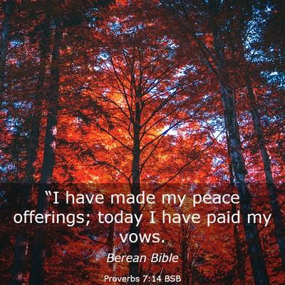Picture 03 - Proverbs 7:14 BSB - “I have made my peace offerings; today I have - Bible Verse Picture