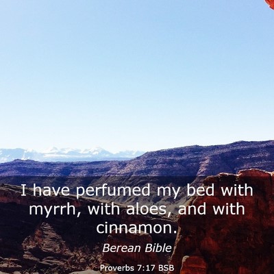Picture 03 - Proverbs 7:17 BSB - I have perfumed my bed with myrrh, with aloes, - Bible Verse Picture