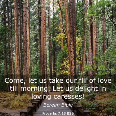Picture 03 - Proverbs 7:18 BSB - Come, let us take our fill of love till morning. - Bible Verse Picture