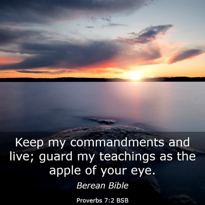 Picture 03 - Proverbs 7:2 BSB - Keep my commandments and live; guard my teachings - Bible Verse Picture