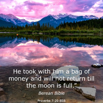 Picture 03 - Proverbs 7:20 BSB - He took with him a bag of money and will not - Bible Verse Picture