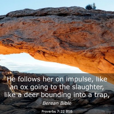 Picture 03 - Proverbs 7:22 BSB - He follows her on impulse, like an ox going to - Bible Verse Picture