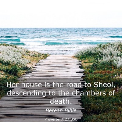 Picture 03 - Proverbs 7:27 BSB - Her house is the road to Sheol, descending to the - Bible Verse Picture