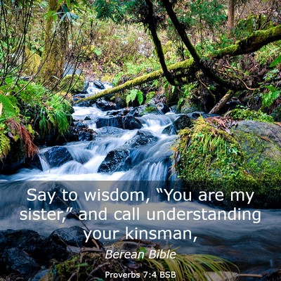 Picture 03 - Proverbs 7:4 BSB - Say to wisdom, “You are my sister,” and call - Bible Verse Picture