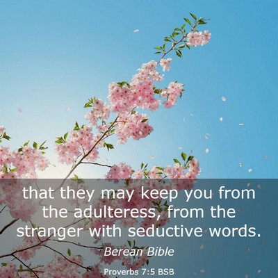 Picture 03 - Proverbs 7:5 BSB - that they may keep you from the adulteress, from - Bible Verse Picture