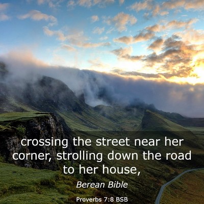 Picture 03 - Proverbs 7:8 BSB - crossing the street near her corner, strolling - Bible Verse Picture