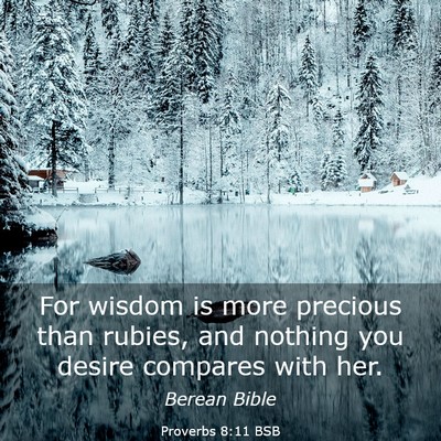Picture 03 - Proverbs 8:11 BSB - For wisdom is more precious than rubies, and - Bible Verse Picture