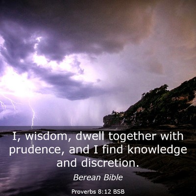 Picture 03 - Proverbs 8:12 BSB - I, wisdom, dwell together with prudence, and I - Bible Verse Picture